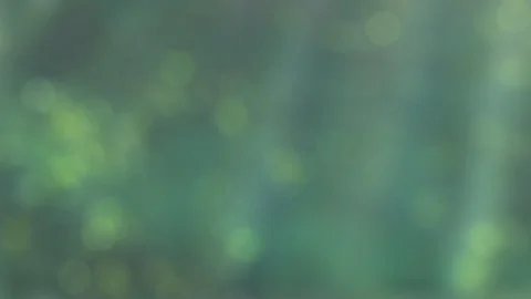 Light through a prism Stock Footage 91552120