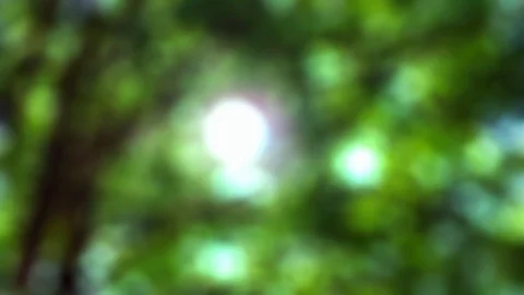 Light through a prism Stock Footage 91567114