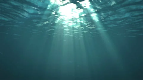 Light through the surface of the water. Stock-Footage 86491367