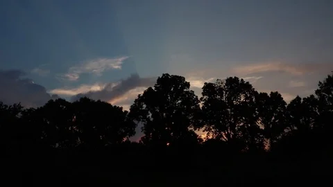 Light through Trees Forest - Sunset Silhouette Landscape Stock Footage 81590687