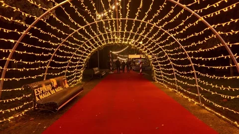 Light Tunnel Archway on Red Carpet at Christmas Market Stock Footage 322850256