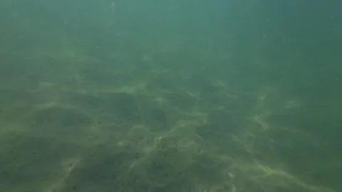 Light underwater pattern Stock-Footage 266900428