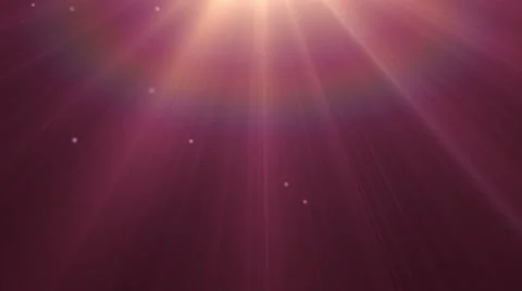 Light Violet particles Stock Footage 24977177