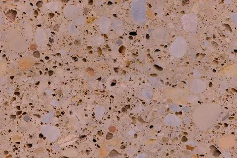 Light wall, slab of sawn shell rock with fine seamless texture of pebbles, pi Stock Photos