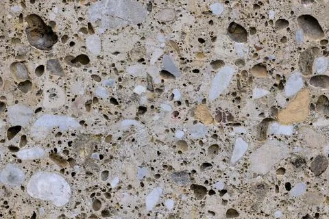 Light wall, slab of sawn shell rock with fine seamless texture of pebbles, .. 스톡 사진