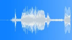 Light wall-switch flip singleSound Effect