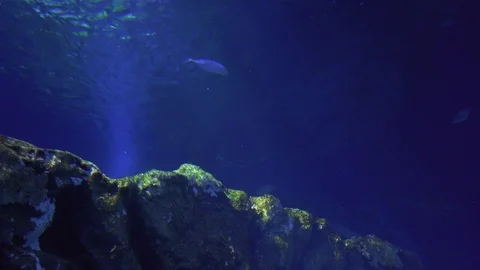 Light in the water Stock Footage 113832776