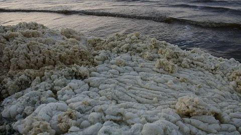 Light waves, coastal foam Stock Footage 116545408