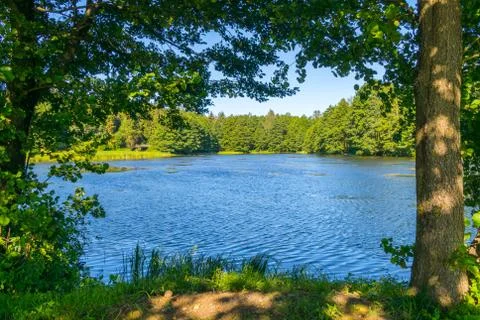 Light waves rock on the surface of the water near the green shores under the  Stock Photos