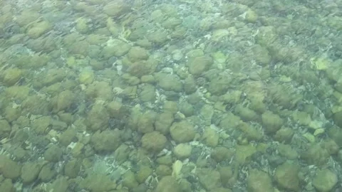 Light waves on surface of clear water with pebbles on bottom Vídeo Stock 334856509