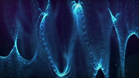 Light Web Background Stock Footage 100536948