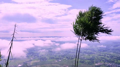 Light white clouds flew past in the bright blue sky. The summer of the sun's sco Stock-Footage 163710927