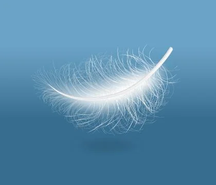Light white feather. Vector Illustrazione stock