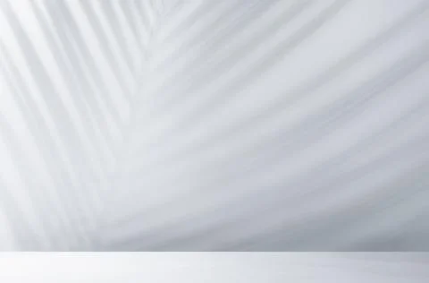 Light white grey wall in sunlight with striped palm leaf shadow and white flo Stock Photos