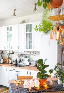 Light white modern rustic kitchen decorated with potted plants, loft-style .. Foto stock