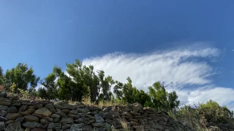 LIGHT WIND IN SHRUBS, BLUE SKY AND CLOUDS, SOUTH OF FRANCE, 4K Stock Footage 142198591