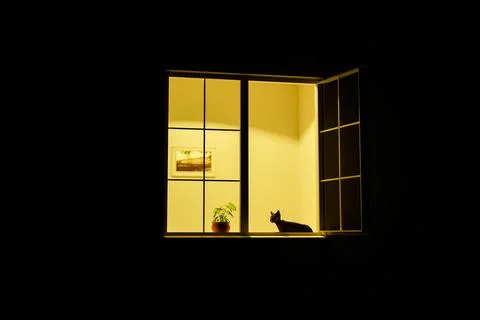 Light in the window Ilustración de archivo