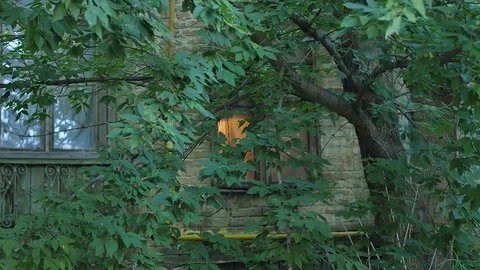 Light in Window of Old Mysterious House Quiet Place Building is Overgrown With Stock Footage 71815543