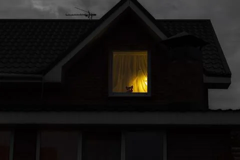 Light from the window Stock Photos