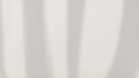 The light from the window on the wall, blurry moving shadows on the wall, the Stock Footage 231048820