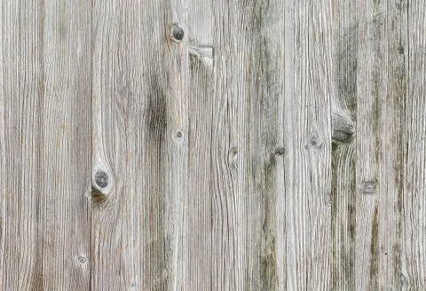 Light wood background Stock Photos