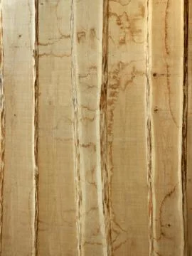 Light wood background Stock Photos