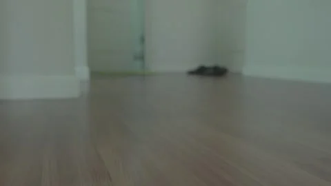 Light Wood Floor in Modern Interior Space Stock Footage 313741081