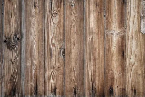 Light wood Stock Photos
