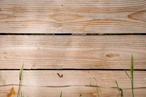 Light wood texture background Stock Photos