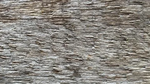 Light wood texture background Stock Photos
