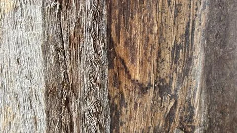 Light wood texture background Stock Photos
