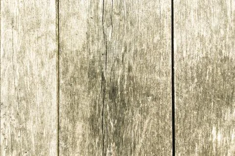 Light wood texture background surface with old natural pattern or old wood te Foto stock