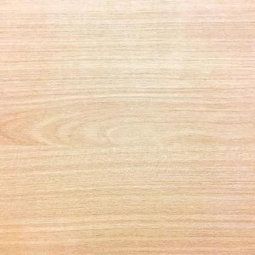 Light wood texture background surface with old natural pattern or old wood te Stock Photos