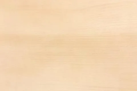 Light wood texture background surface with old natural pattern or old wood te Stock Photos