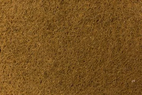 Light wood texture background surface with old natural pattern Stock Photos