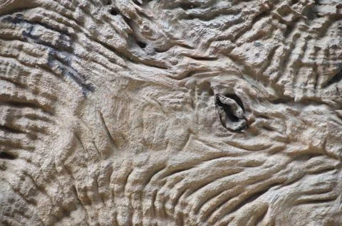 Light wood texture background surface with old natural pattern. Stock Photos
