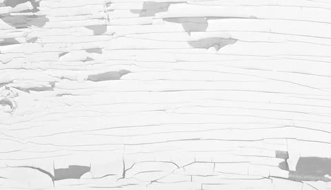 Light Wood Texture. Rusty Shabby Surface. White Stock Illustration