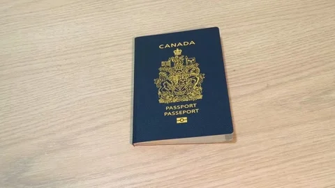 Light wooden surface with subtle textures creating a warm and inviting scene Video stock 318311015