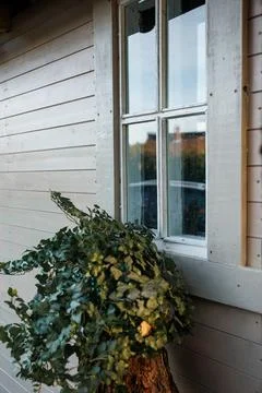 Light Wooden Wall with Rectangular Window and Potted Plant Below Stock Photos