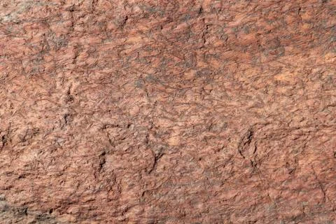Light yellow brown surface stone texture. Solid concept. Stock Photos