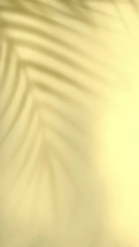 Light yellow Leaf Shadow Gradient Verticle background Stock Footage 283363793