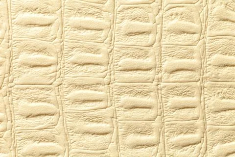 Light yellow leather texture background, closeup. Reptile skin, macro. 스톡 사진