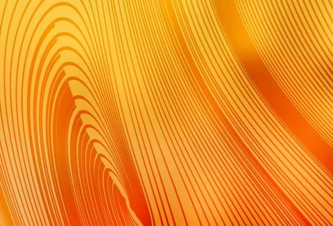 Light Yellow vector template with curved lines. Stock Illustration