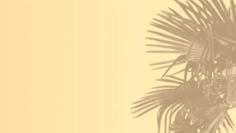 Light yellow wall with palm shadow - romantic palm leaves background Stock Footage 140039479