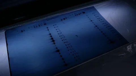 Lightbox for films in the laboratory Video stock 84224635