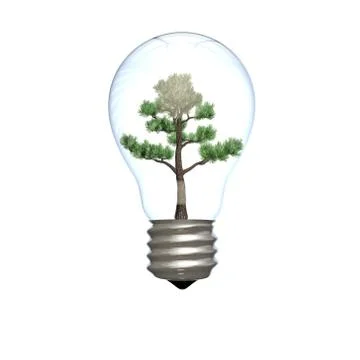 A lightbulb with a grown tree inside Stock Illustration