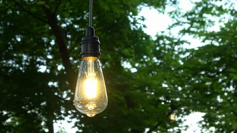 Lightbulb hanging in the natural background. 4K Stock Footage 128166190