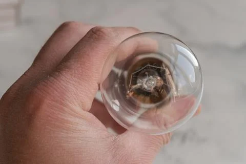 Lightbulb on a marble surface. Stock Photos