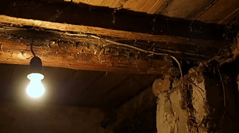 Lightbulb In the old basement of the house Stock Footage 67830765
