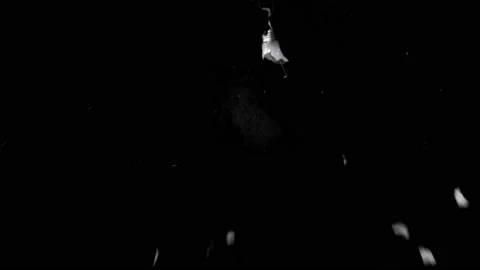 Lightbulb Shatter 2 Stock Footage 113084593